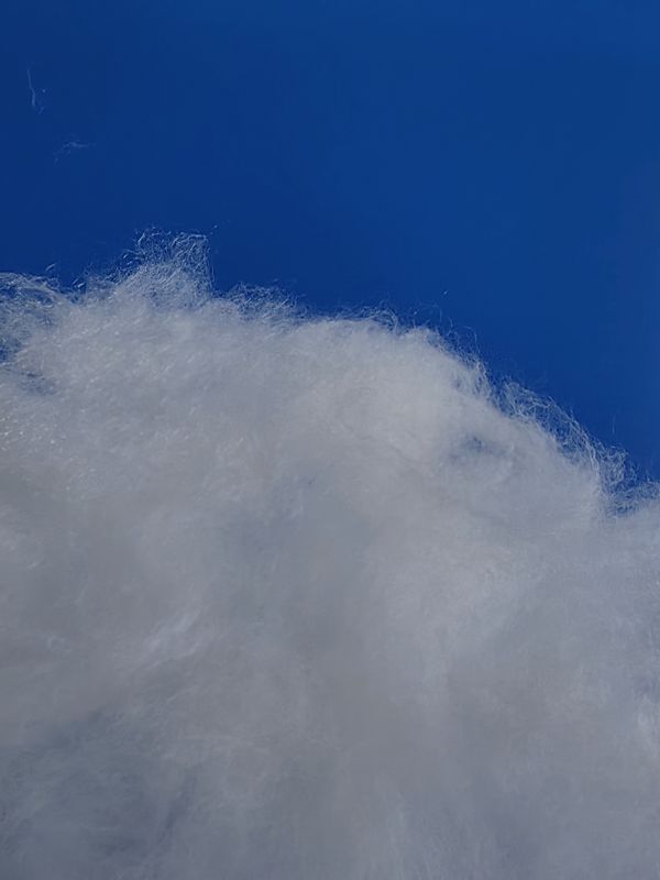 K331 Quilted Polyester Batting Fabric Home Textiles Garment Polyester Fibre