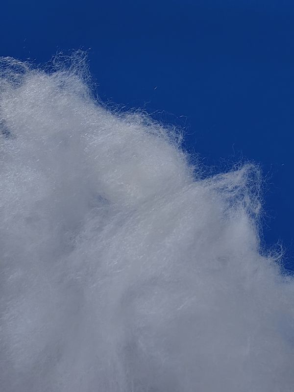 K331 Home Textiles White Padding Fiber Garment Fluffy Recycled Polyester Fiber
